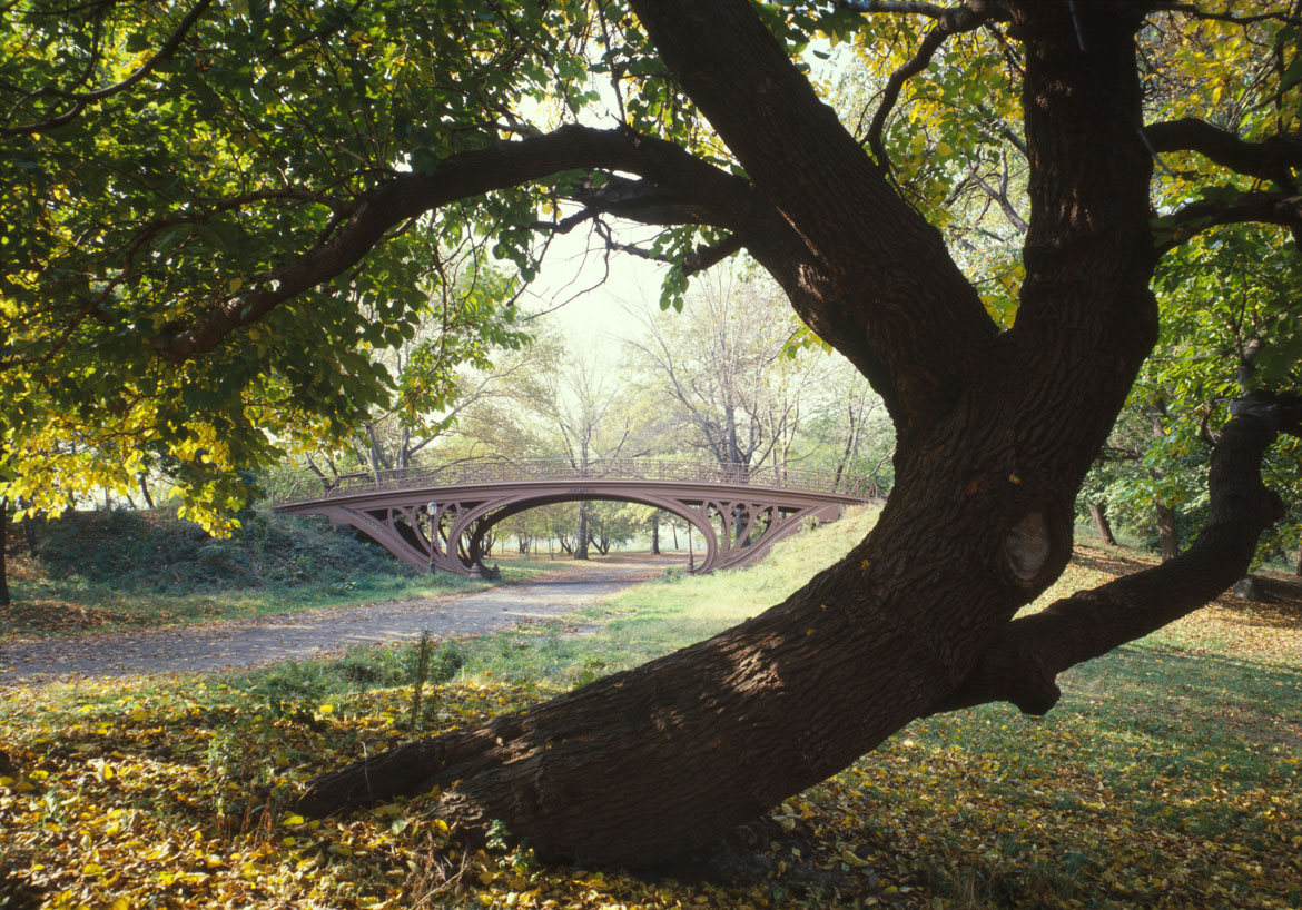 Central_Park_New_York_City_New_York_23_cropped2[1]