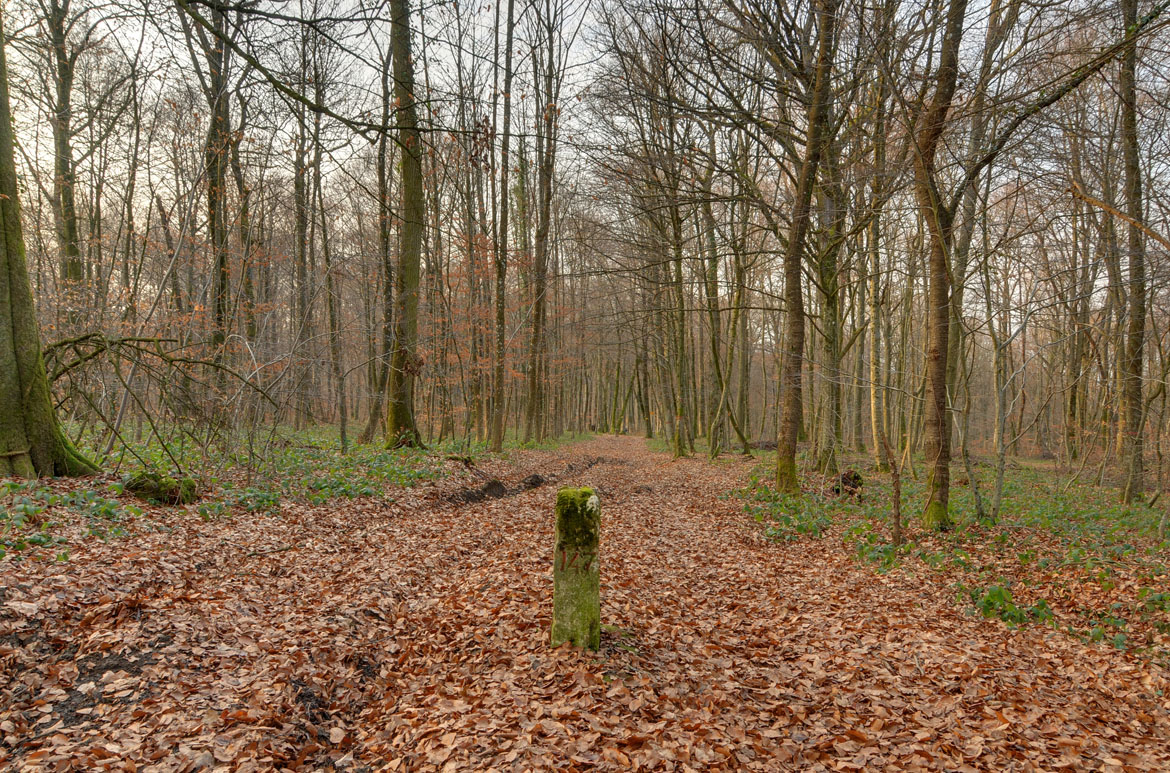 France-Switzerland boundary stone