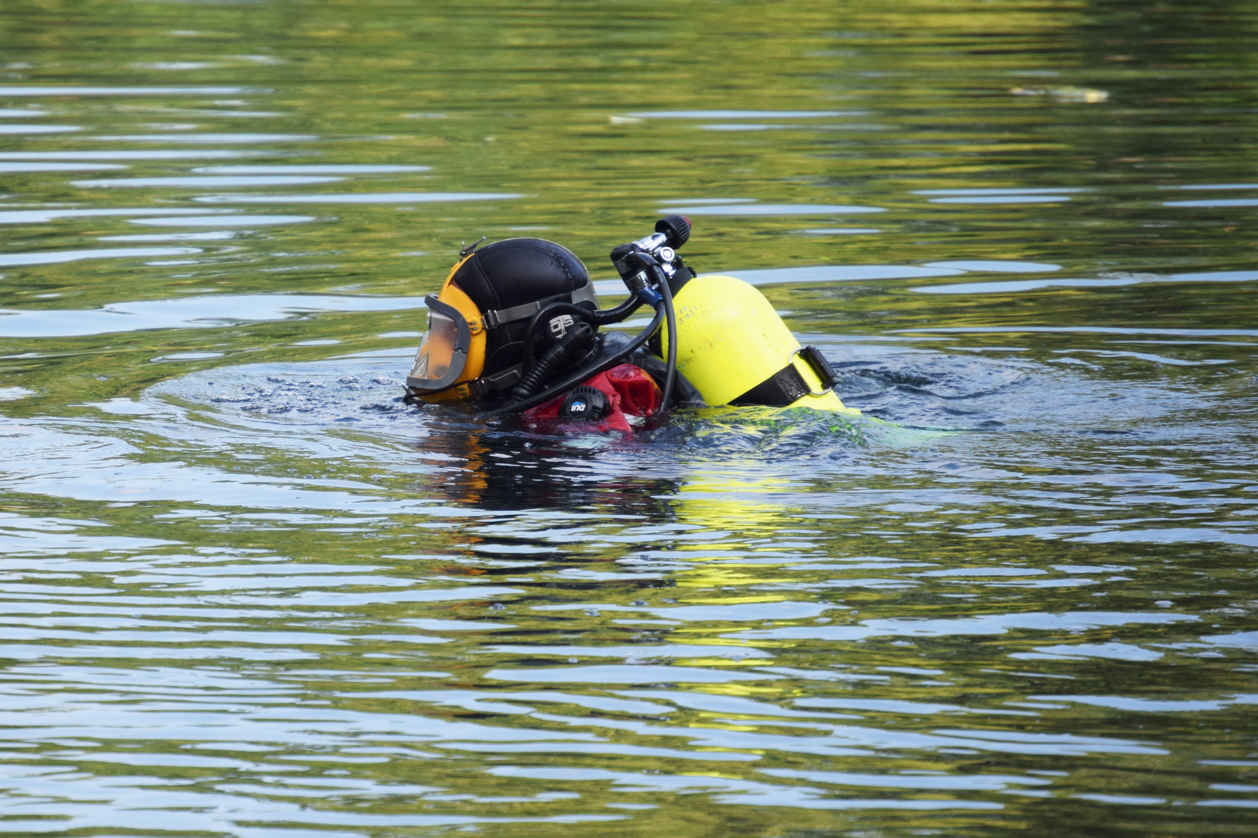 dive team  (3)