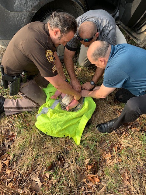 Deputies rescue a 4-month-old baby apparently abandoned by his mother near a creek in Orion Twp.