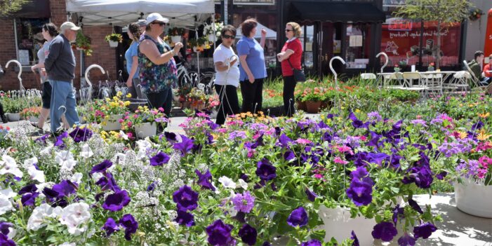 20th annual Flower & Art Fair returns to downtown LO after a year hiatus