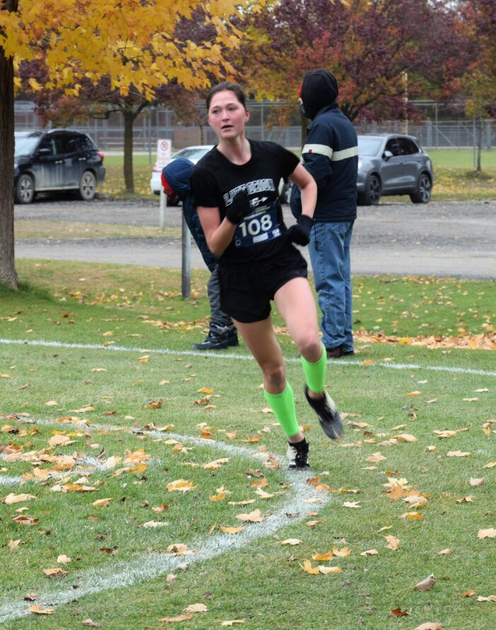 Novak moves on to state finals in girls cross country