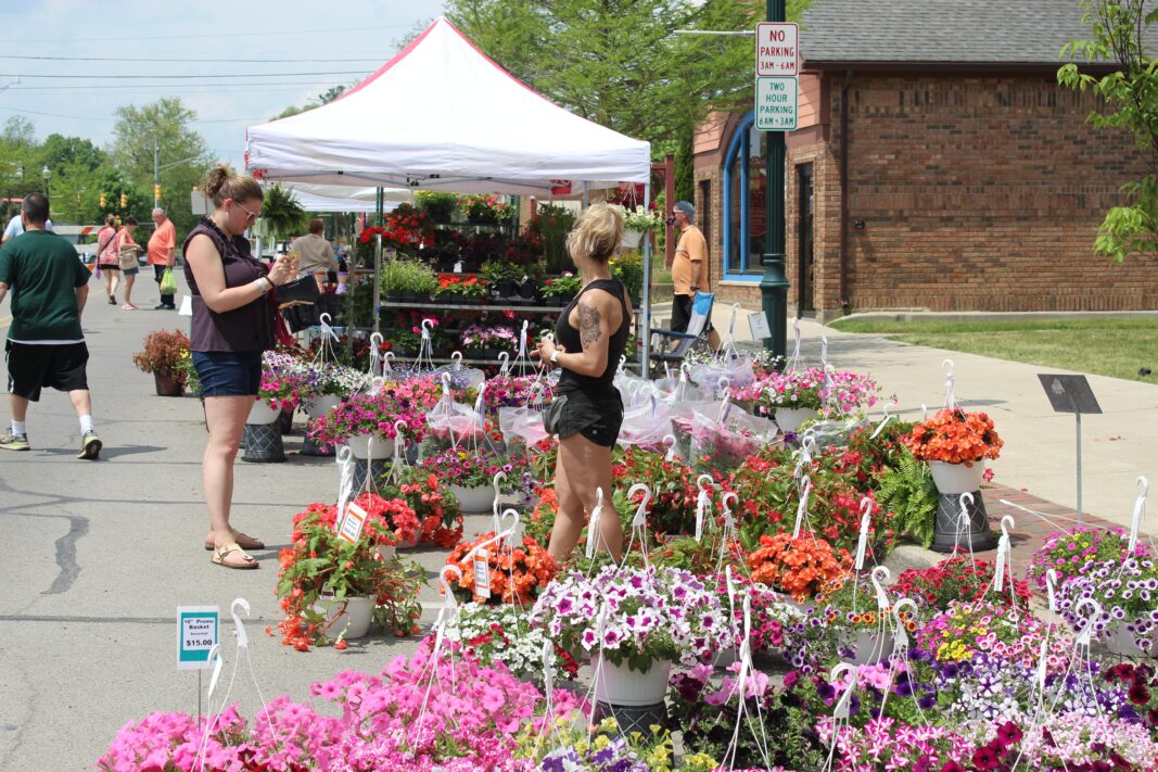 Lake Orion blossoms to life with annual Flower Fair Lake Orion Review