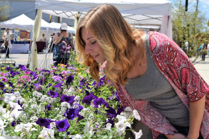 Orion Art Center hosts Lake Orion Flower & Art Fair May 21-22