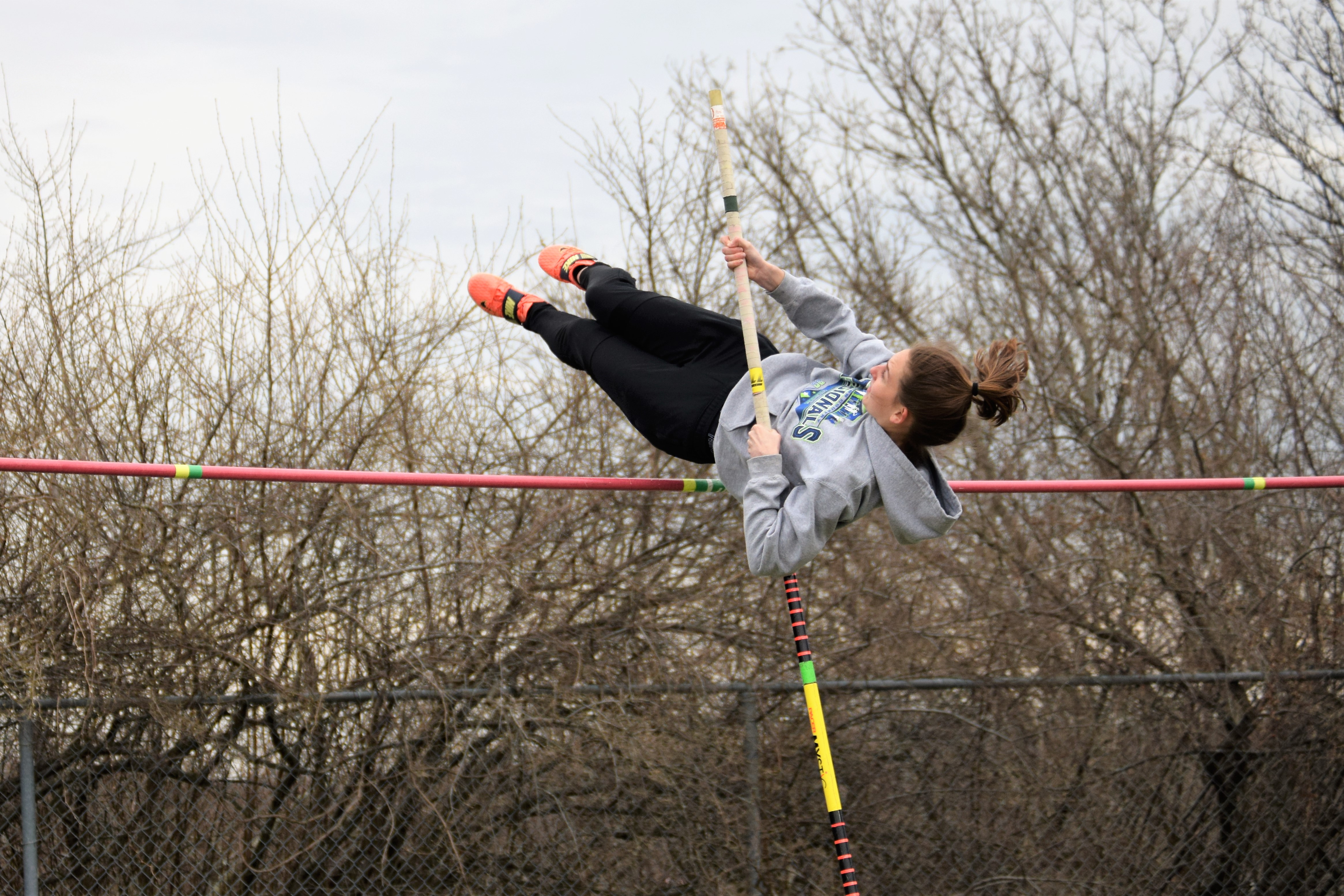 pole vault (1)