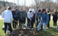 Oakview students celebrate Arbor Day by planting 20 mature trees