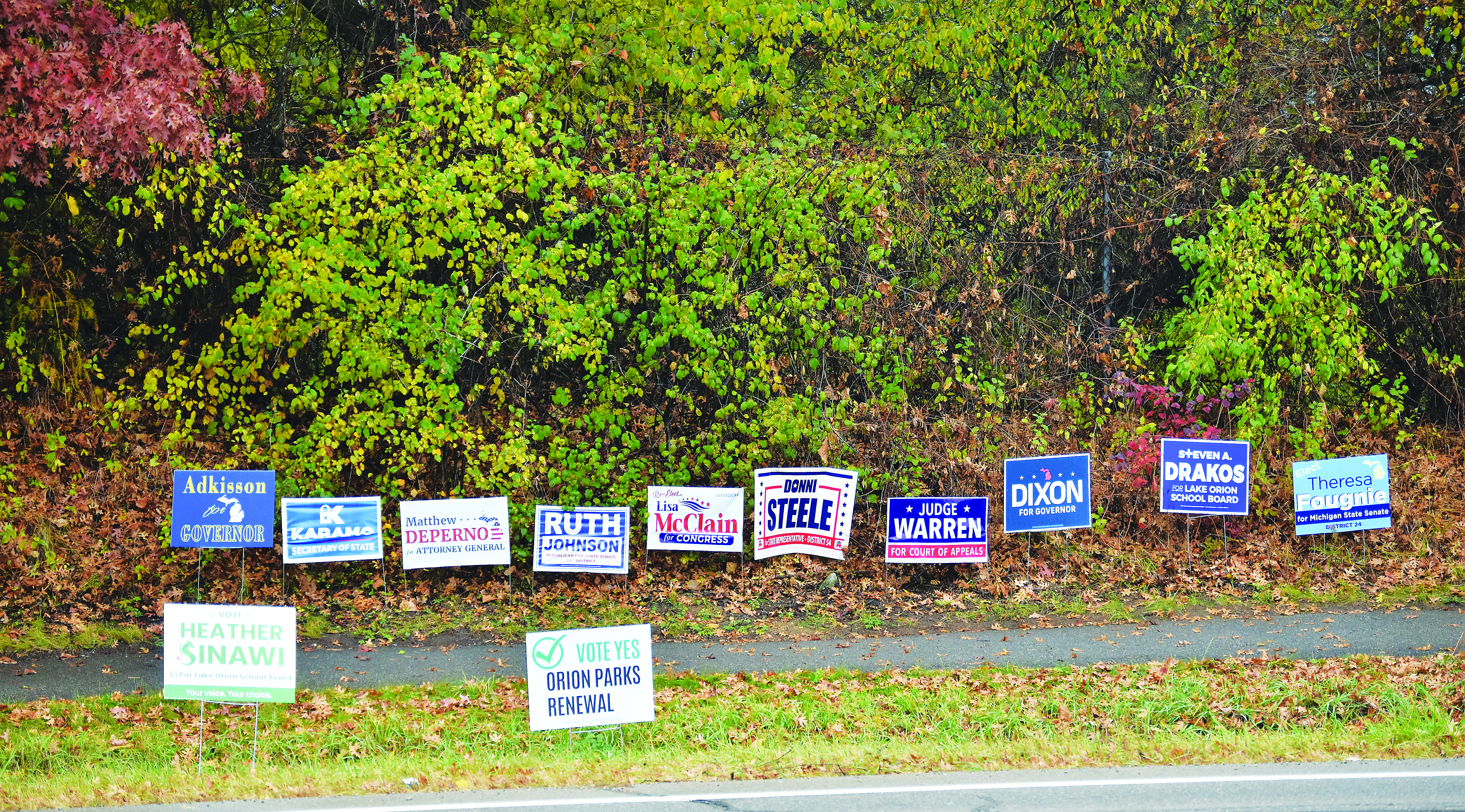 election signs (7)