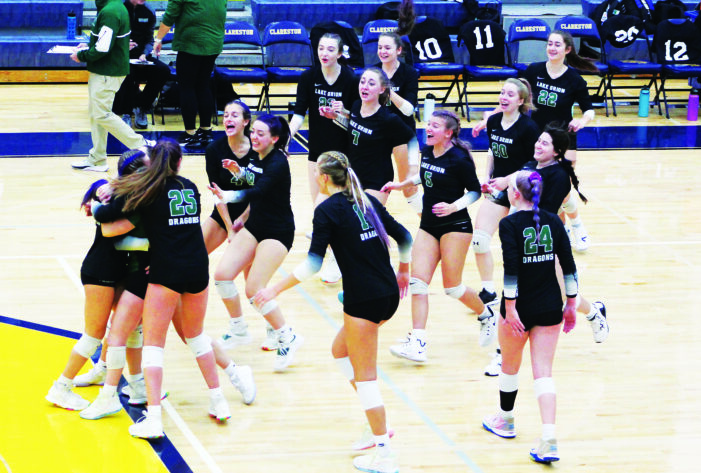 Dragons fall to Wolves in volleyball district finals