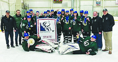 LOHS JV hockey team wins state tournament