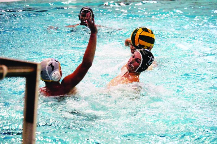 Dragons water polo team defeats Troy United, 16-5