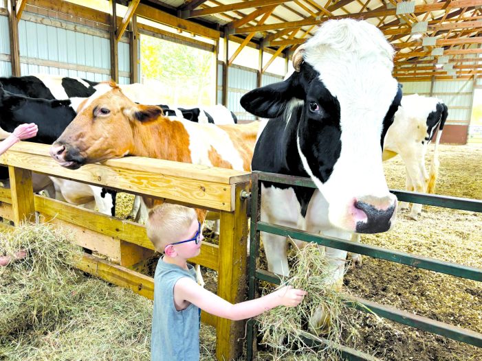 PEAS provides a forever home to farm animals